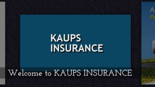 Kaups Insurance Provides Online Auto Insurance Quotes in Maple Grove MN