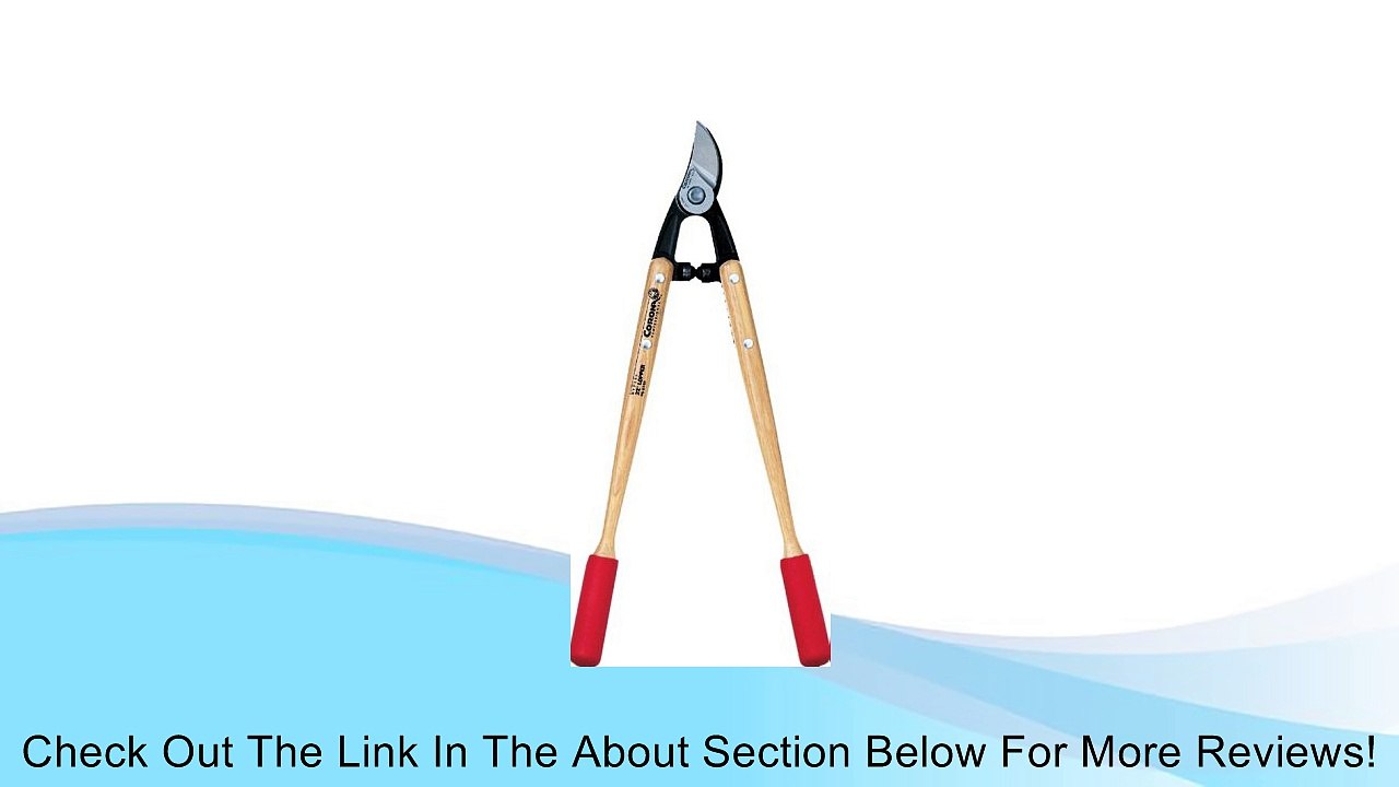Corona Forged Bypass Vine Lopper, Hickory Handles, 1-1/2" Cut Review