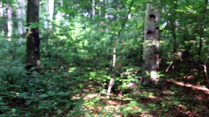 09.08.12 c. Вістова, І-Франківська обл., ГК "Князь Святослав"