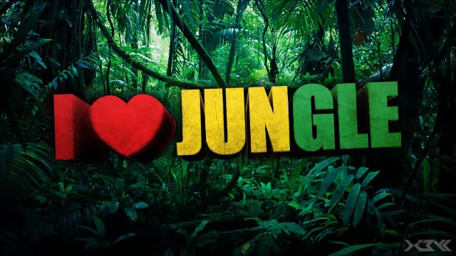 DRUM AND BASS - REGGAE MiX {VOL.13} (by faXcooL)