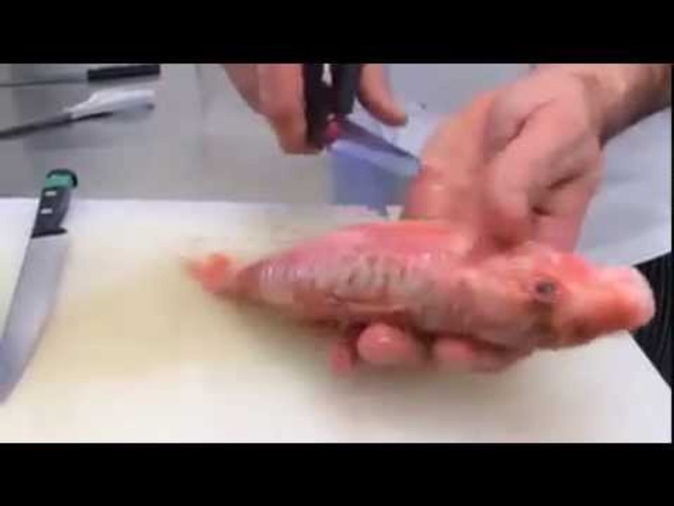 Minute Technique : Comment désarêter un poisson pour farcir ? - 750 Grammes