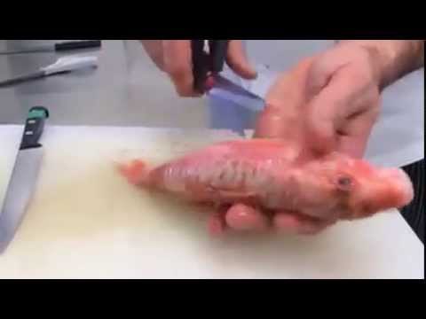 Minute Technique : Comment désarêter un poisson pour farcir ? - 750 Grammes