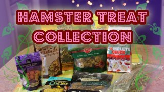 Hamster Treat Collection!