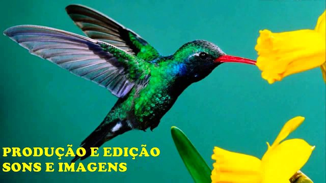 ROBERTO CARLOS - EL DIA QUE ME QUIERAS 1976 (Ao vivo TV El Trece Argentina) - HD