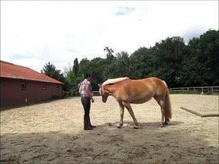 Belsy Clickertraining