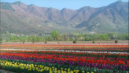 Kashmir Valley -  Jammu and Kashmir.