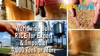 Purchase Bulk Rice for Export, Rice Exporting, Rice Exporters, Rice Exporter, Rice Exports
