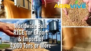 Acquire Bulk Rice for Exporting, Rice Exporters, Rice Exporter, Rice Exports, Export, Export