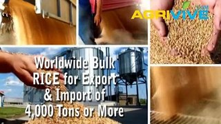 Buy Bulk Rice for Import, Rice Importer, Rice Imports, Rice Importing, Rice Importers