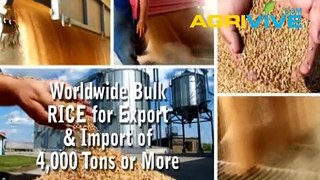 Purchase Bulk Rice for Sale, Food Rice, Buy Bulk Rice, Bulk Wholesale Rice, Buy Bulk Rice