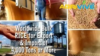 Rice Milling, Rice, Rice Wet Mill, Rice, Rice, Mill Rice, Miller of Rice