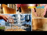 Bulk Rice Dealer, Rice Import, Bulk Rice Meal, Bulk Rice, Bulk Rice Seed, Rice