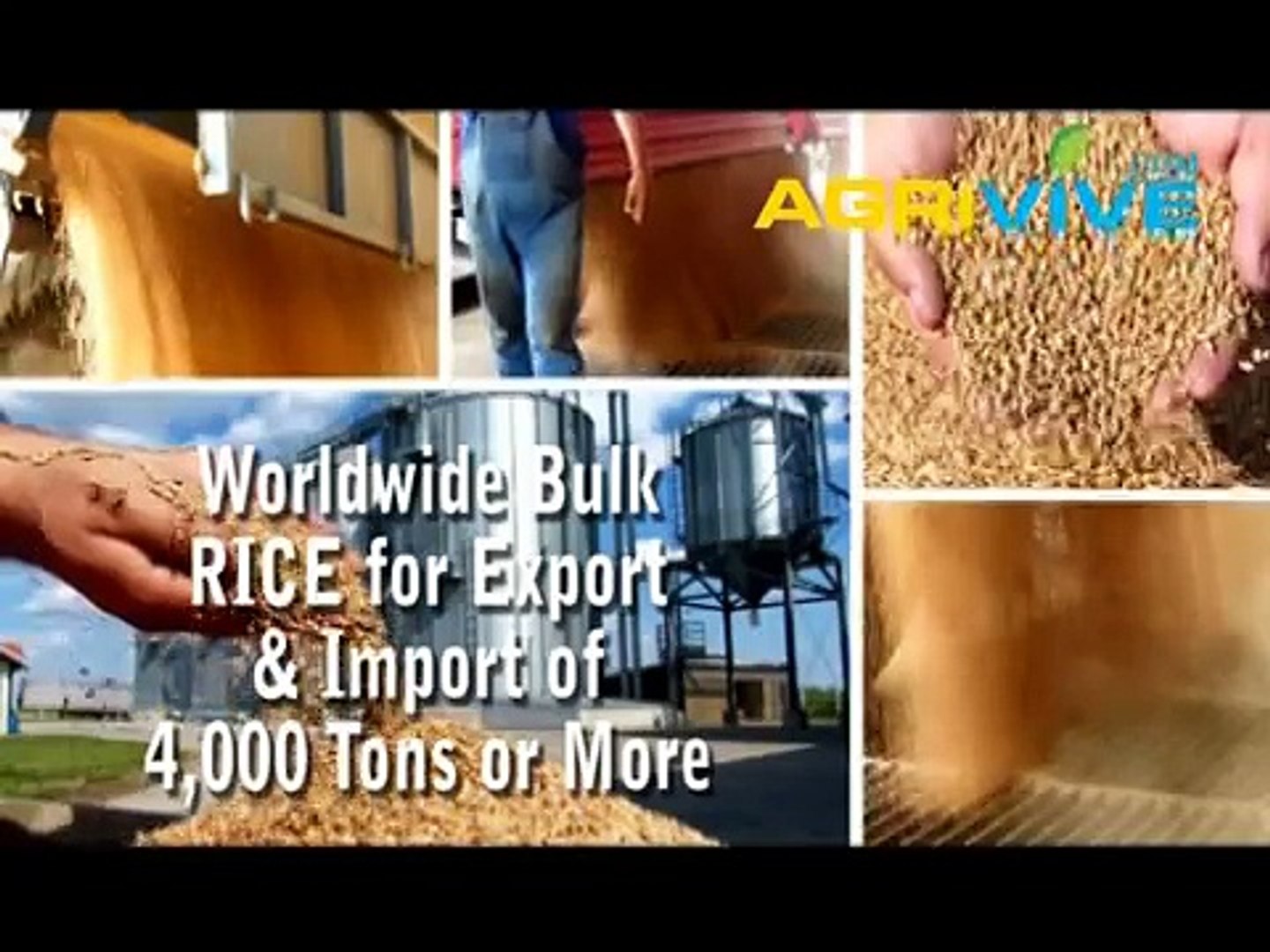 ⁣Buy Wholesale Bulk USA Rice, USA Rice Export, Bulk USA Rice Starch, Bulk USA Rice for Sale, Bulk USA