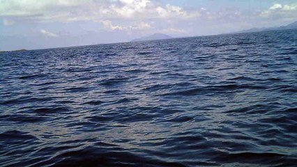 Mergulhos e Navegação em Ubatuba, SP, Brasil, (2)