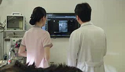 즐겨박기 선택 영등포오피방