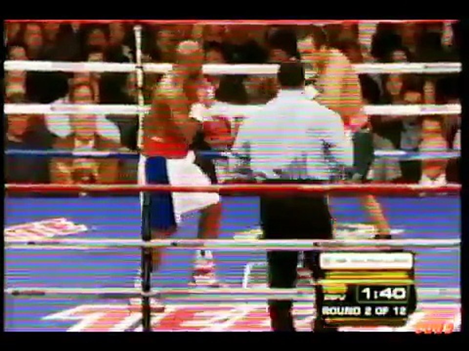 Floyd Mayweather Jr. Knockouts - Boxing Highlights