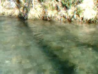 Ouverture truite 2007