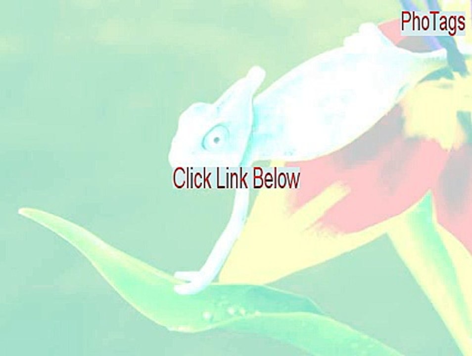 PhoTags Keygen (Instant Download)