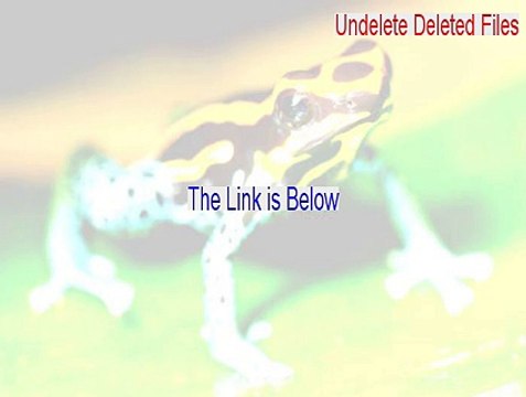 Undelete Deleted Files Download Free (Legit Download)