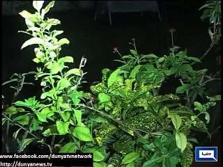 کراچی کے مختلف علاقوں میں تیز بارش کے بعد موسم سرد اور خوشگوار ہو گیا