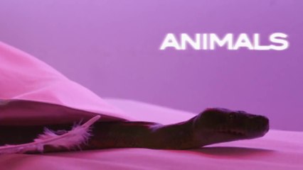 Maroon 5 - Animals (Official Lyrics Video)