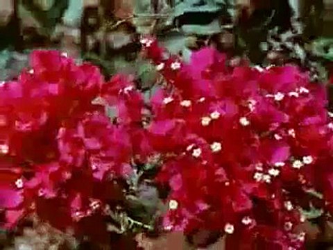 SAWAN AAYE YA NA AAYE \ JIYA JAB JHOOME SAWAN HAI - (Dil Diya Dard Liya - 1966)