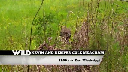 Primos The Truth About Hunting - Mississippi Longbeards