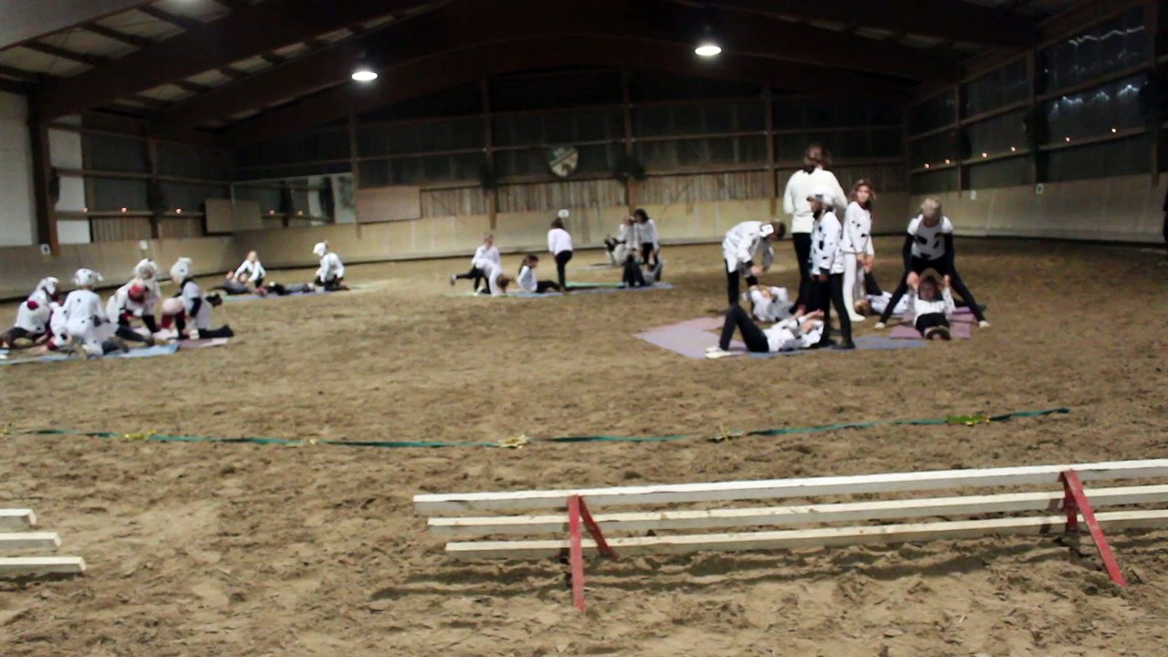 Dalmatiner Weihnachten 2014