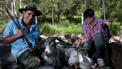 Darling River Wild Boar Hunt