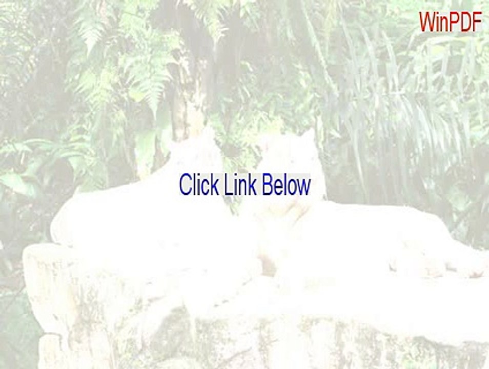 WinPDF Full Download - Download Here [2015]