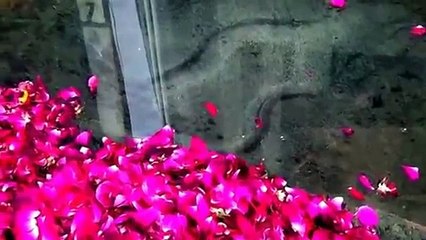 New Merical 2015_Allah Ki Qudrat_Allah Ki Shaan_Latest Merical Of Allah 2015