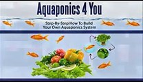 Aquaponics System Plans  Aquaponics 4 You DIY Aquaponics System