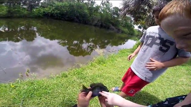 Introducing a Youth to Fun Back Lake Pike Fishing - FT201