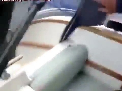 Pike 11 kg- Watch!!! Щука на 11 кг – Смотреть!!!