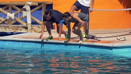 Suyun altında yunuslarla tenis oynamak