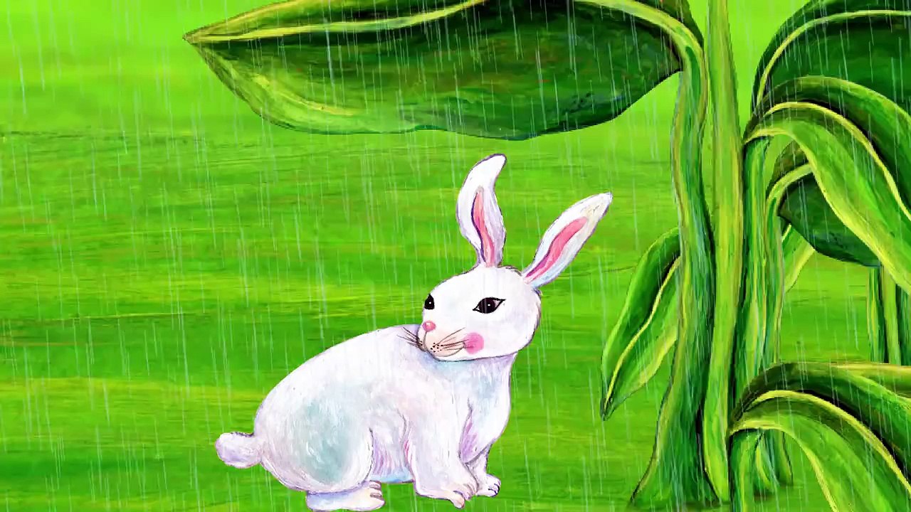 Rabbit & Rainbow - Lower Case Alphabet
