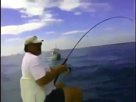Tarpon Fishing Trips - Enjoy Florida Monsters