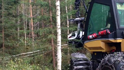 AFM 45 White Line bioenergy - Eco Log