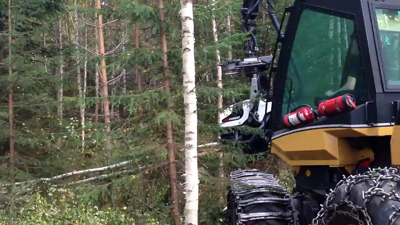 AFM 45 White Line bioenergy - Eco Log