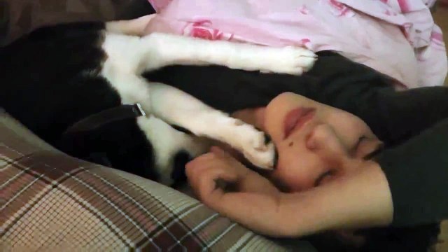 Haticko Puppy wakes up sleeping Boy ! - Щенок будет пацана - Прикол!