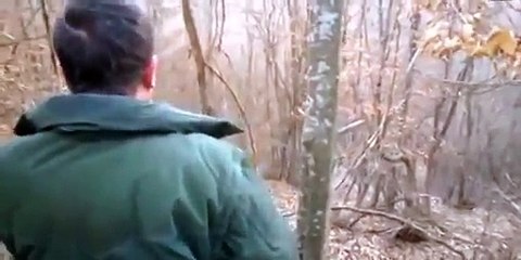 Wild Boar Hunting,Wildsau Jagd