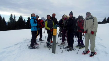 Les loups du Vercors