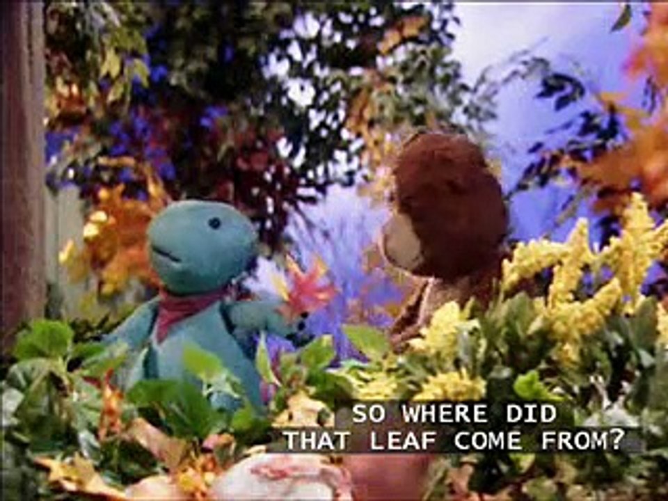 Caillou's Pumpkin Patch kid with subtitles