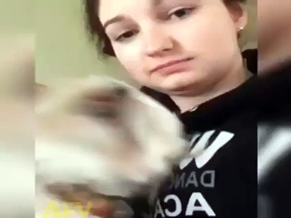 Funniest Dog Sneeze Ever!!!