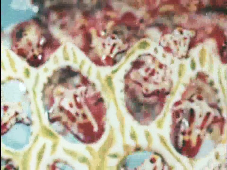 Превращения начинаются (1976)