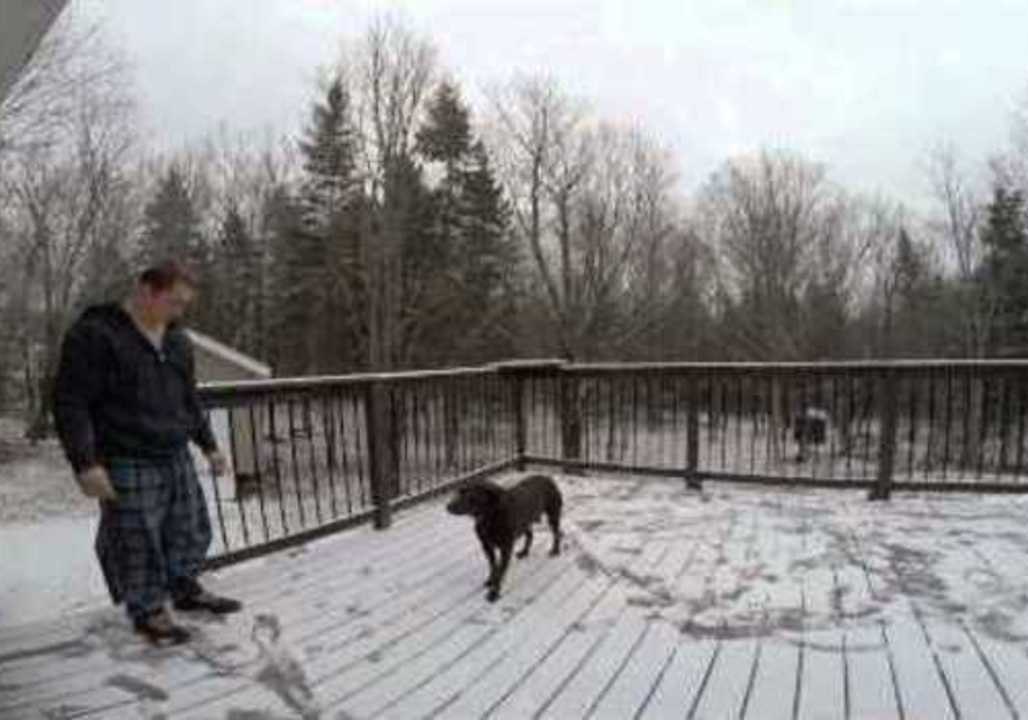 Dog Goes Crazy After Ear Drops