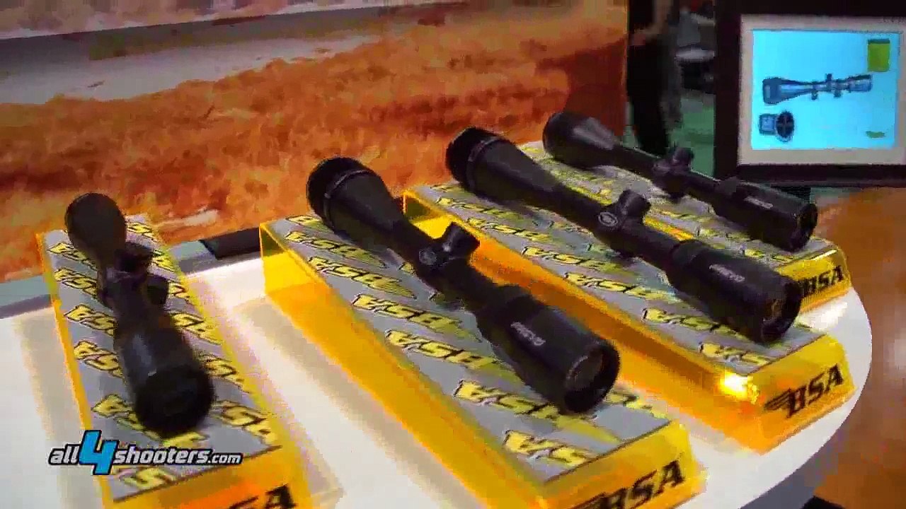 GAMO CFX .177 CAL WITH BSA Varmint LLRCP Red Laser Sight and Light Part 2