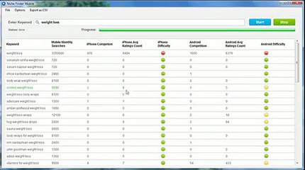 micro niche finder software