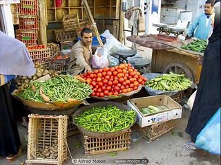 الفجر أتبسم - محمد قنديل