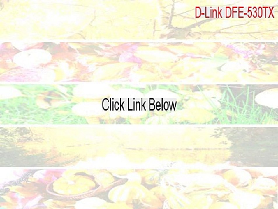 D-Link DFE-530TX+ PCI Fast Ethernet Adapter (rev.F) Download (Instant Download 2015)